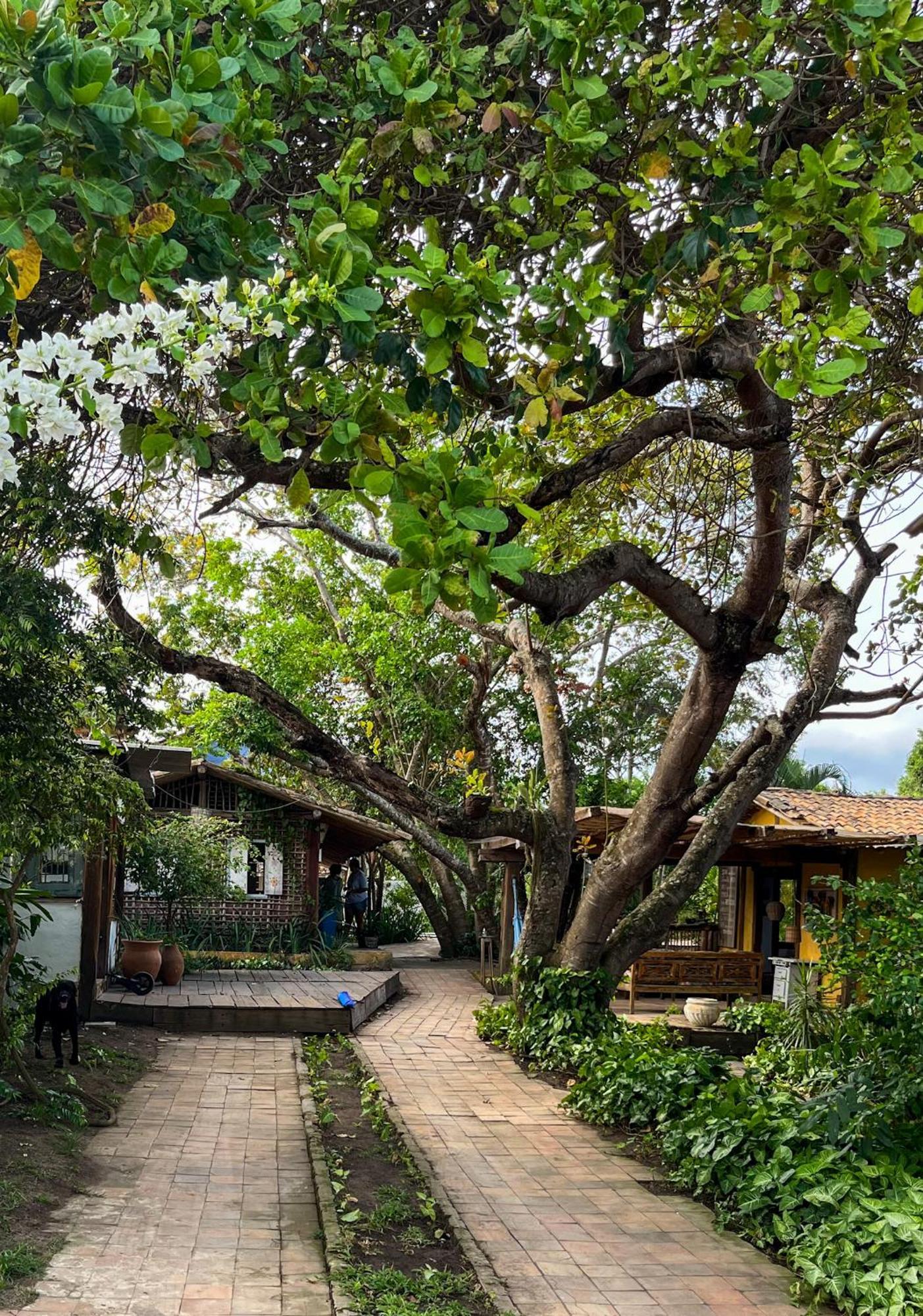 Cizinho Guest house