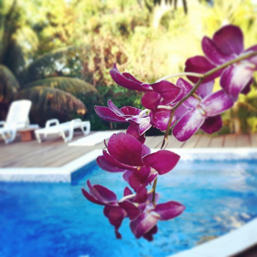 Cizinho Guest house Itaunas (Espirito Santo)